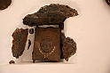Kanary_2010 168